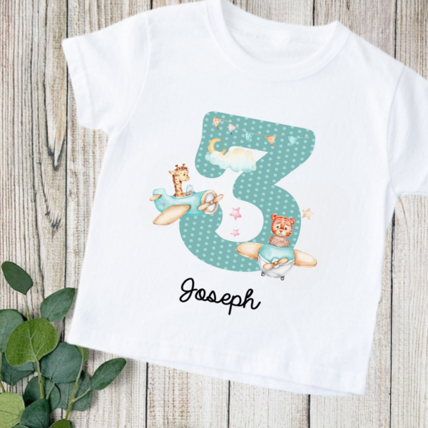 Aeroplanes Birthday Number Tshirt 5 Birthday Age Number TShirt Aeroplanes