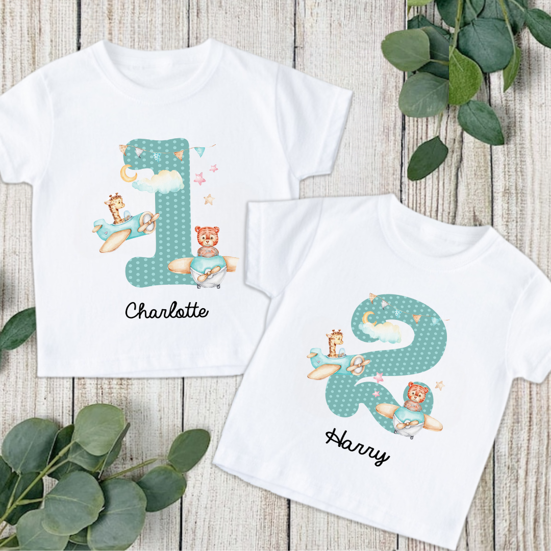 Aeroplanes Birthday Number Tshirt 1 Birthday Age Number TShirt Aeroplanes