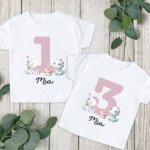 Stompy Dinosaur Birthday Number Tshirt