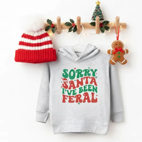 Feral Hoodie Santa Sorry